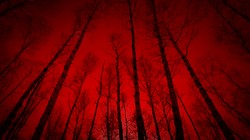 Koszmary o krwi na rękach lub pluciu krwią. Co oznacza sen o krwi?