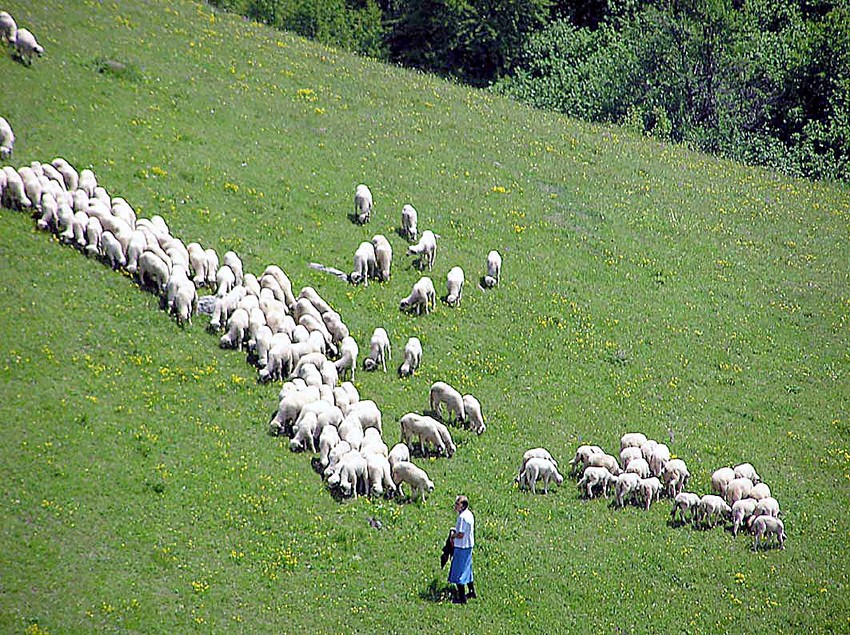U Rusiji postoji potražnja za robom dobrog kvaliteta