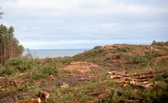 'Przekop Mierzei Wiślanej naruszy ekosystem'. Głosy oburzenia płyną równolegle z UE i Rosji