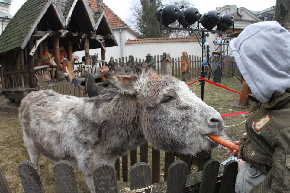 Szopka bożonarodzeniowa na Bielanach