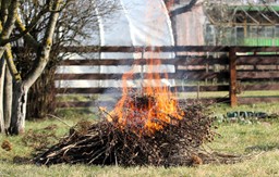 30 tysięcy złotych kary za porządki w ogrodzie? tego sposobu unikaj ja