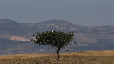 Izrael przeprowadził naloty na obiekty wojskowe w Syrii