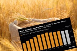 Ceny żywności znów w górę? Wszystko będzie zależało od tych czynników