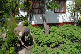 Grzywna za brak selektywnej zbiórki odpadów na działce