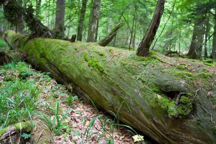 Najpiękniejsze krajobrazy Polski