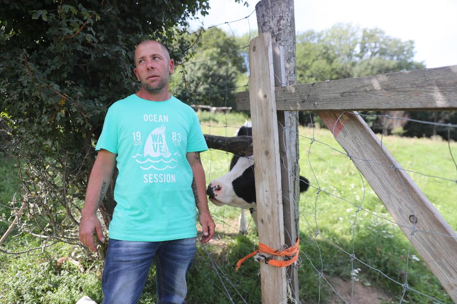 Farkas Péter kifejezetten jámbornak ismerte meg az állatot /Fotó: Zsolnai Péter