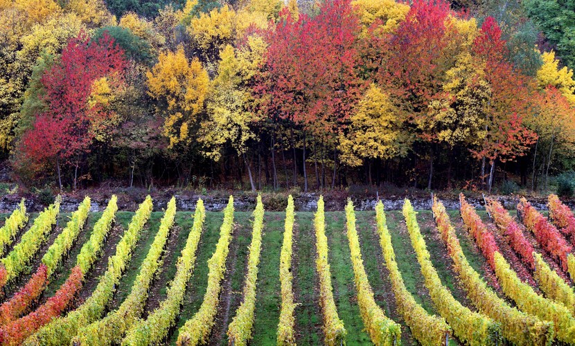 Jesień w Europie - Niemcy