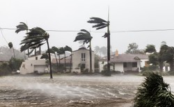 Idalia sunie z Zatoki Meksykańskiej na Florydę. NHC: Zniszczenia mogą być katastrofalne