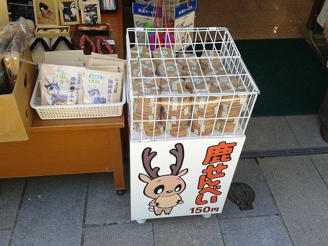 Zazwyczaj turyści karmią jelenie specjalnymi ciastkami, kupionymi w sklepach z pamiątkami.