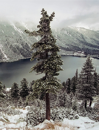 Morskie Oko - przyroda i człowiek