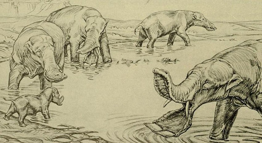 Ovako su izgledali praistorijski slonovi