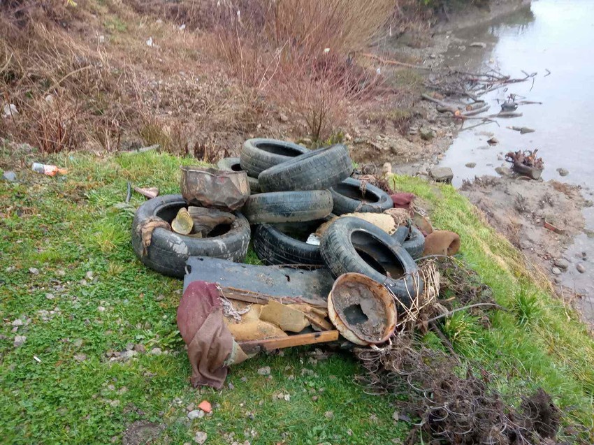 Gomila guma izvučena iz Drine kod Kućice na steni