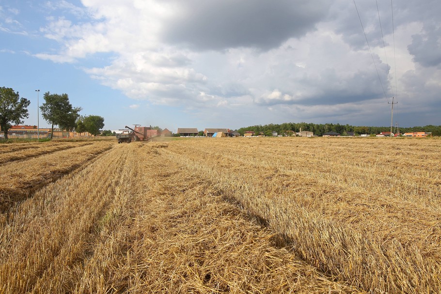 Możemy spodziewać się niższych cen niektórych ważnych produktów spożywczych