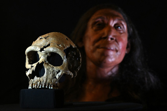 "LOBANJA JOJ JE BILA RAVNA KAO PICA!" Naučnici otkrili kosti žene pa napravili pravi podvig: Ovo je lice neandertalke od pre 75.000 godina! (FOTO)