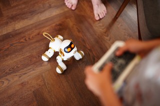 Pupil z instrukcją obsługi. Robopsy napędzają rynek robotyki