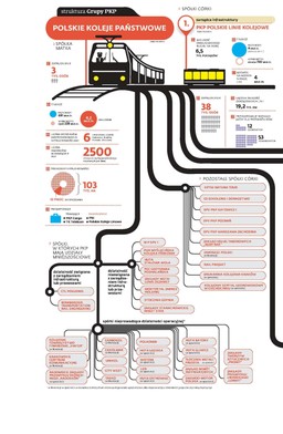 PKP: 85 tysięcy etatów, 50 spółek i wielki chaos. Co dalej z kolejowym molochem?