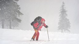 potężny powrót zimy. białe piekło wraca falami, śniegu może być nawet 2 metry imgw opady śniegu modele pogodowe prognoza pogody długoterminowa