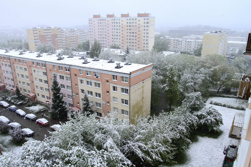 Majowe opady śniegu w Olsztynie