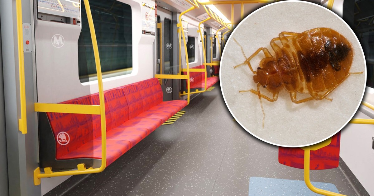 Nagranie z pluskwą w warszawskim metrze budzi grozę. Stołeczny operator komentuje