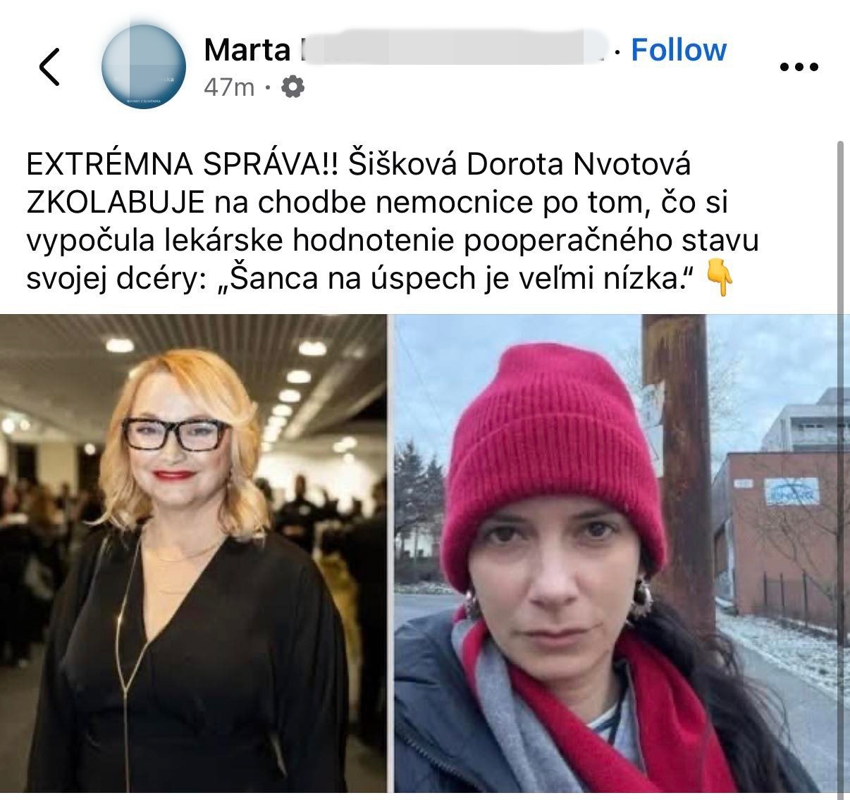 Falošný článok Nvotová zverejnila na svojom profile na sociálnej sieti. 