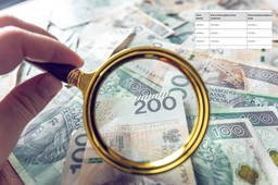 Budżety samorządów na 2025 r. pod lupą RIO. Jest lepiej, ale wyzwań nie brakuje