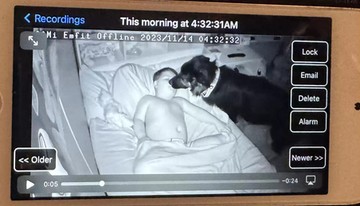 kisfiú, szívbeteg, epilepszia, kutya