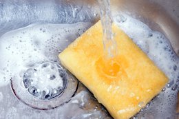 Your kitchen sponge is even more gross than you thought — here's how often you should replace it