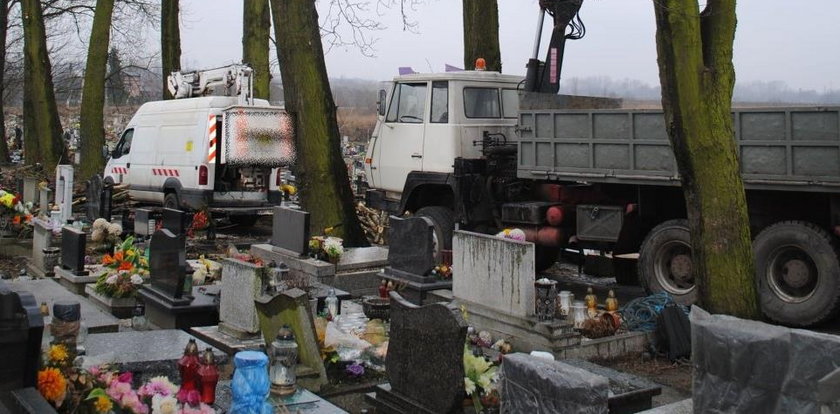 Przycinał drzewa, omal nie zginął