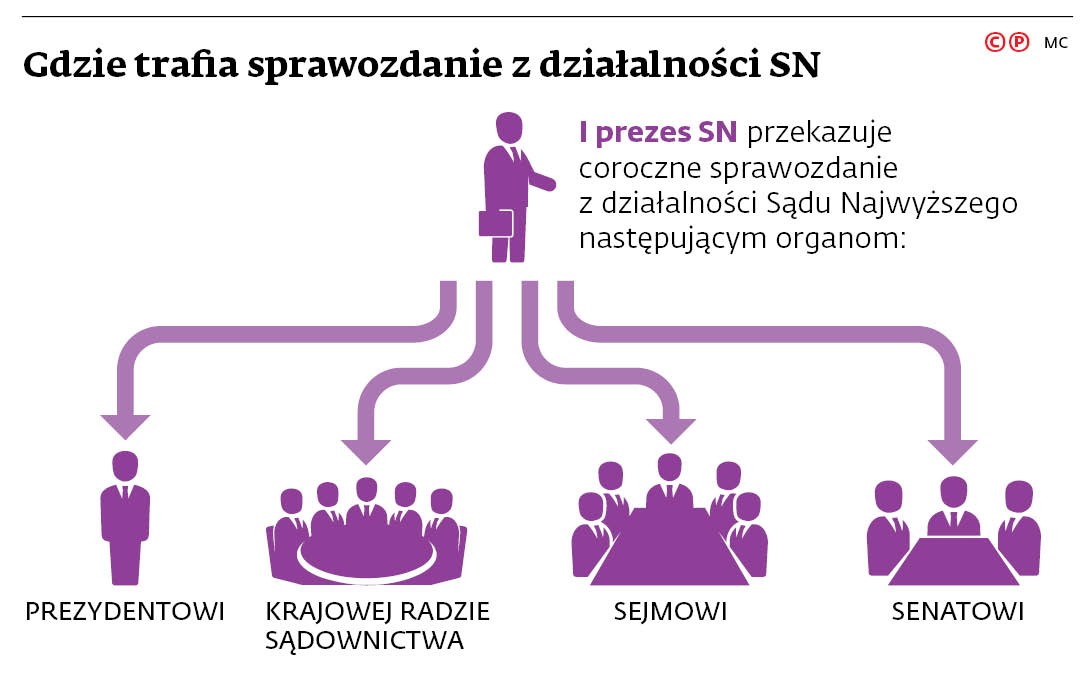 Gdzie trafia sprawozdanie z działalności SN