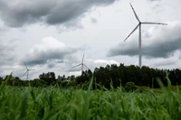 W Europie rośnie sprzeciw wobec farm wiatrowych. W Polsce trafił na podatny grunt