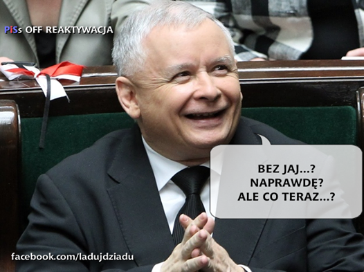 mem / PISs OFF reaktywacja