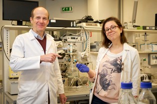 Ukryty celebryta. Czym jest tajemniczy organ śródbłonek?