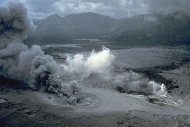 Galeria USA - Erupcja wulkanu Mount St. Helens, obrazek 13