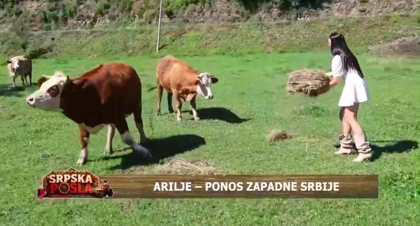 Srpska posla