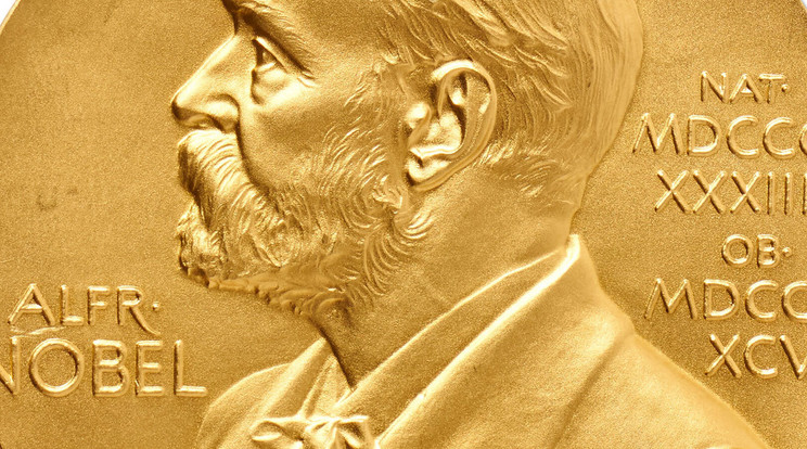 Rossz embernek próbálták meg átadni a Nobel-díjat / Illusztráció: Northfoto