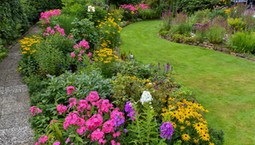 Najpiękniejsze byliny wieloletnie długo kwitnące, zimujące w gruncie. Kwiaty wieloletnie do ogrodu bez wykopywania