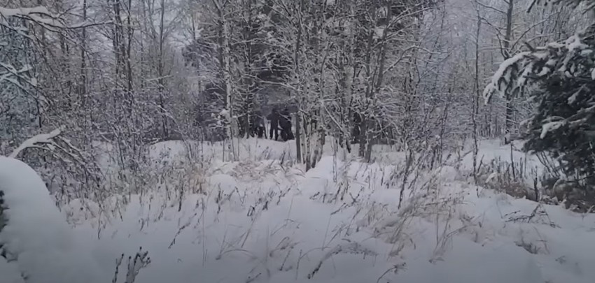 Srpski dobrovoljci u ratu u Ukrajini