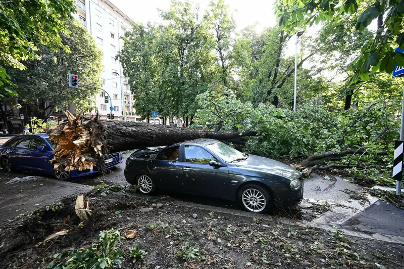 Zniszczenia po przejściu burzy w Mediolanie.