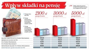 Siedem ważnych pytań na początek PPK