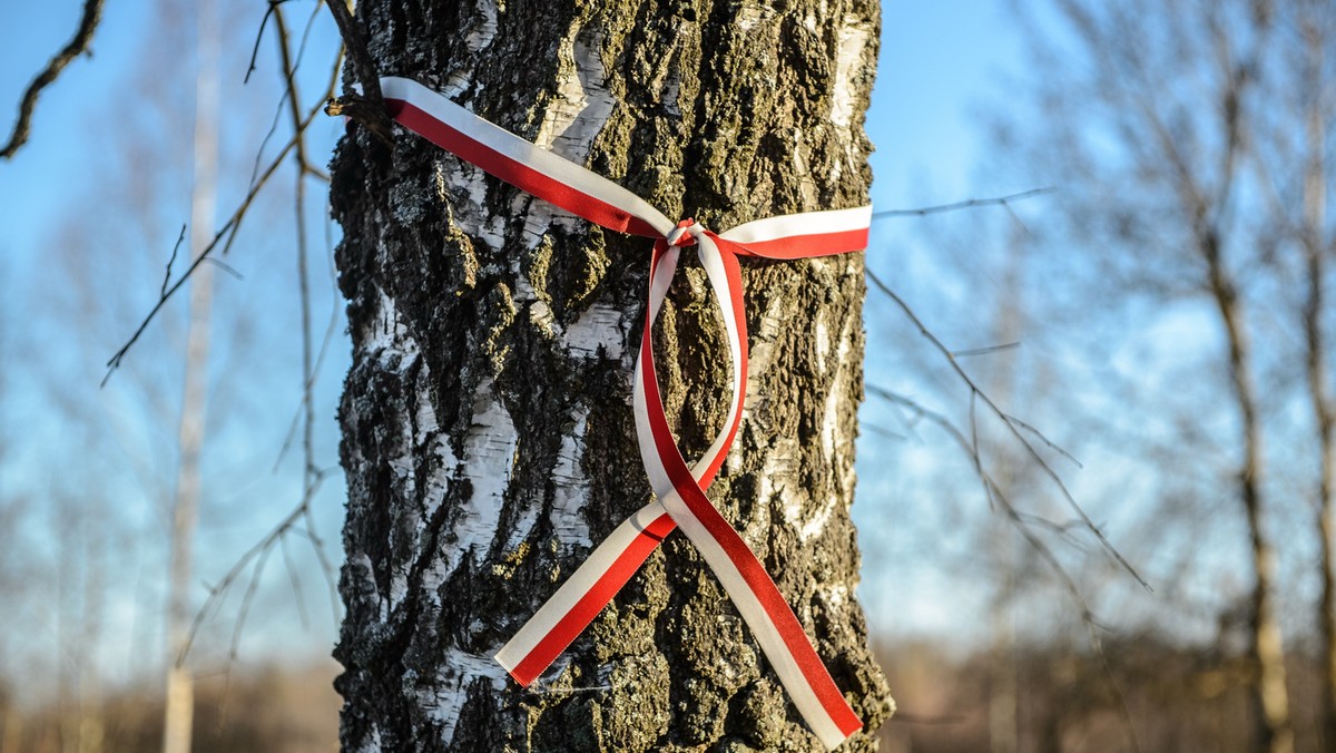 Mszą św. w Bazylice Katedralnej w Kielcach uczczono dziś pamięć ofiar katastrofy smoleńskiej. Uczestnicy uroczystości przeszli też pod epitafia prezydenta Lecha Kaczyńskiego i wicepremiera w rządzie PiS, świętokrzyskiego posła Przemysława Gosiewskiego.