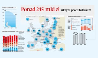 Ponad 245 mld zł ukryte przed fiskusem