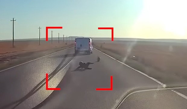 Dečak ispao iz kombija u Rumuniji