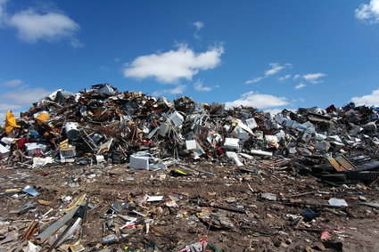 Poziom recyklingu w Polsce jest wciąż bardzo niski. Jak powinniśmy segregować śmieci?