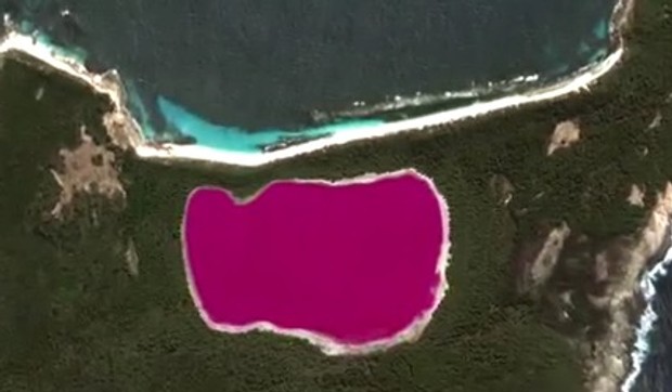 Jezero roze Midl Australija