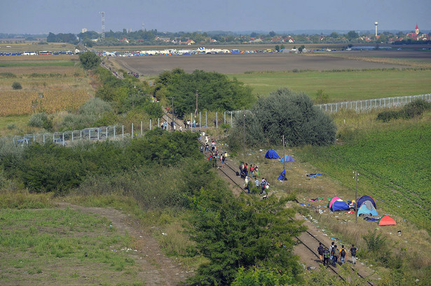 Węgry ogłaszają stan kryzysowy. Granica z Serbią została całkowicie zamknięta