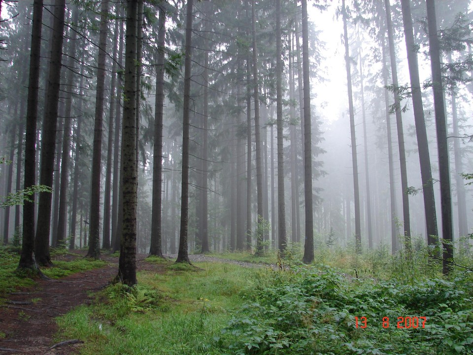 Bieszczady, fot. teija