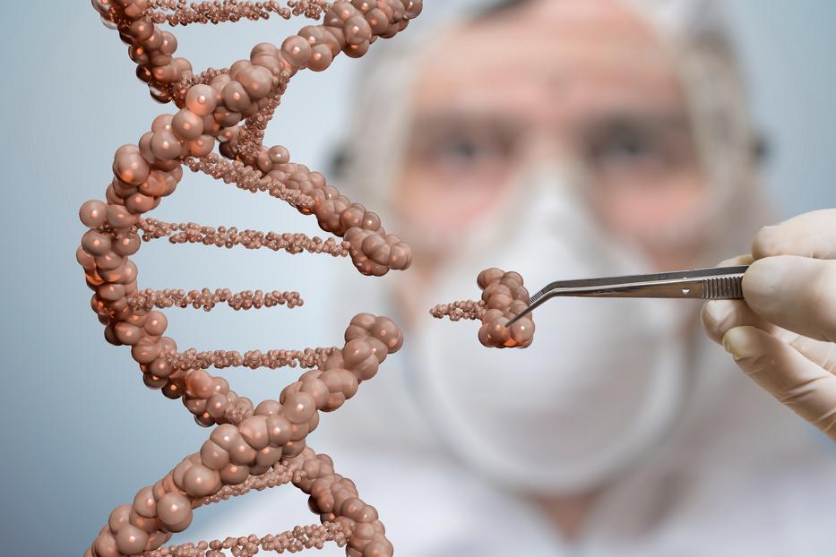 A kutatók így illusztrálják, hogyan vágnak ki és adnak hozzá részeket a DNS-hez / Fotó: Shutterstock