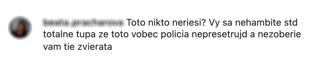 Komentáre pod fotkou Lely s malým levom. 