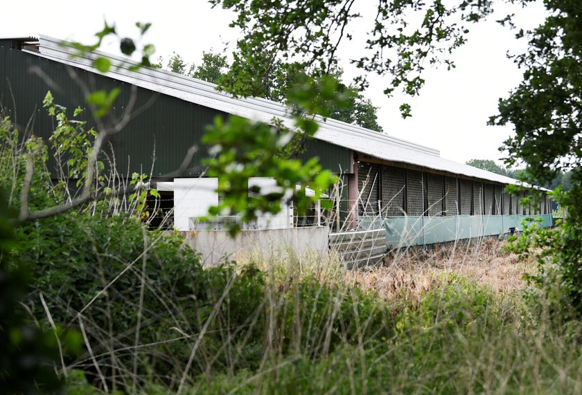 FILE PHOTO: A mink farm is seen during the coronavirus disease (COVID-19) outbreak in Oploo