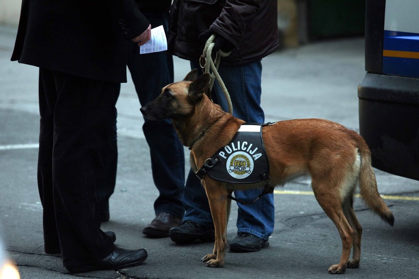 Slučaj Pukanić i dalje potresa Hrvatsku